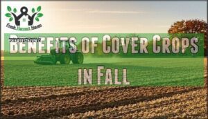 benefits of cover crops in fall