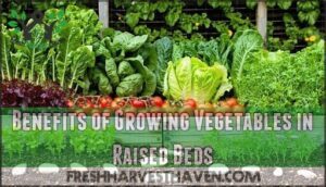 benefits of growing vegetables in raised beds