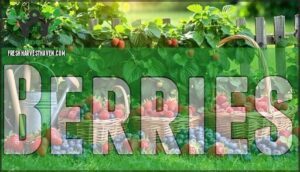 berries
