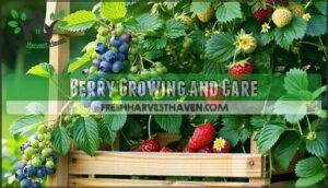berry growing and care