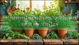 best herbs for cooking recipes