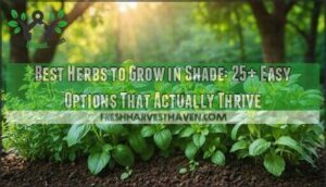 best herbs to grow in shade