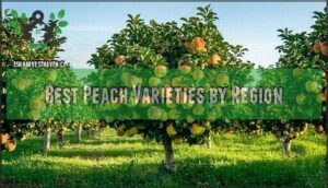 best peach varieties by region