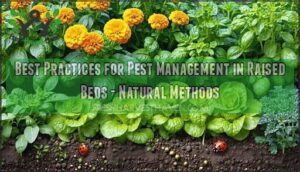 best practices for pest management in raised beds