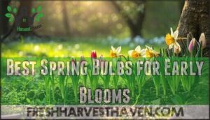 best spring bulbs for early blooms