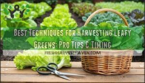 best techniques for harvesting leafy greens