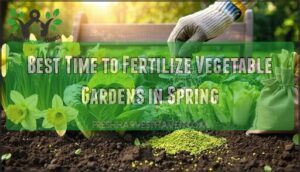 best time to fertilize vegetable gardens in spring