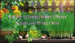 best way to control aphids