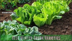 best winter green varieties