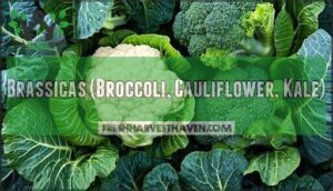 brassicas (broccoli, cauliflower, kale)