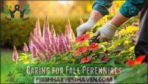 caring for fall perennials