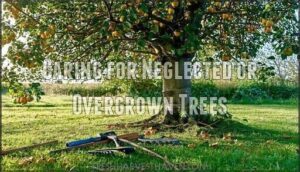 caring for neglected or overgrown trees