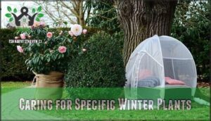 caring for specific winter plants