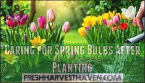 caring for spring bulbs after planting