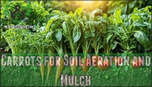 carrots for soil aeration and mulch