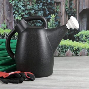 Chapin 47998: 2 Gallon Watering B0BXBJNZYB