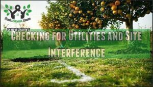 checking for utilities and site interference