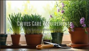 chives care requirements
