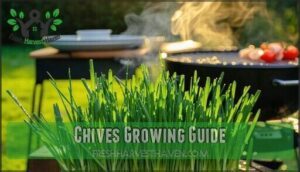 chives growing guide