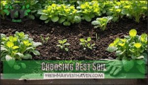 choosing best soil