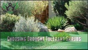 choosing drought tolerant shrubs