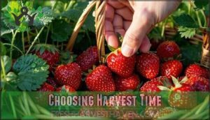 choosing harvest time