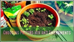 choosing potting mix and amendments