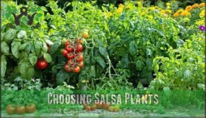 choosing salsa plants