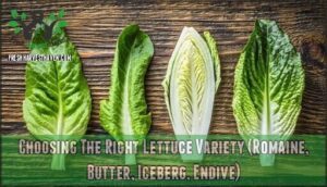 choosing the right lettuce variety (romaine, butter, iceberg, endive)