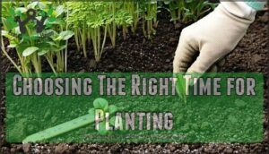 choosing the right time for planting