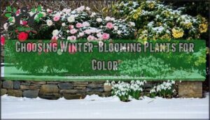 choosing winter-blooming plants for color
