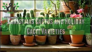 christmas cactus and holiday cacti varieties