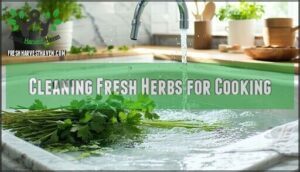 cleaning fresh herbs for cooking