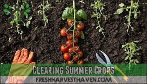 clearing summer crops