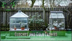 cloches and cold frames