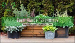 cold-hardy perennials