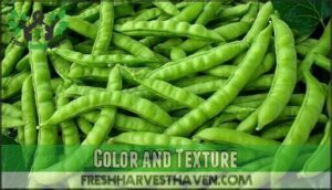 color and texture
