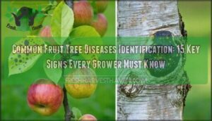 common fruit tree diseases identification