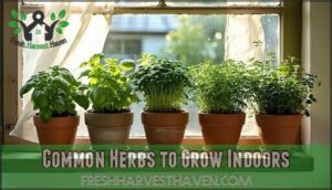 common herbs to grow indoors