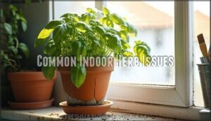 common indoor herb issues