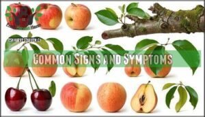 common signs and symptoms