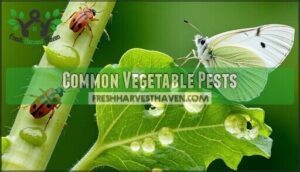 common vegetable pests