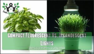 compact fluorescent vs. incandescent lights