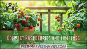 compact raspberries and tomatoes