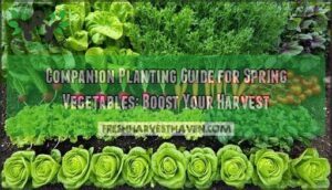 companion planting guide for spring vegetables