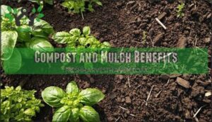 compost and mulch benefits