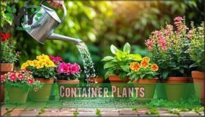 container plants