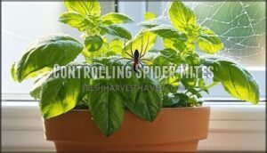 controlling spider mites