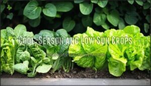 cool-season and low sun crops