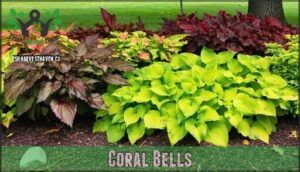 coral bells
